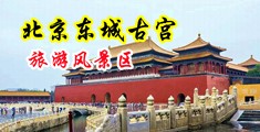 小骚逼干的舒服吗视频中国北京-东城古宫旅游风景区